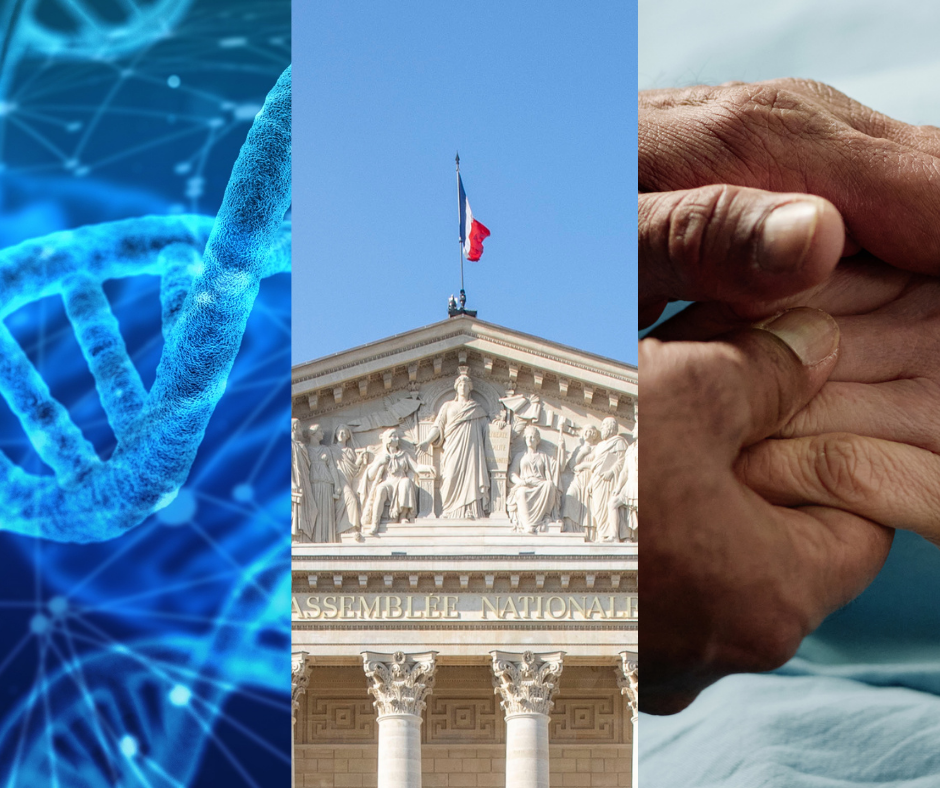 design sans titre (3)